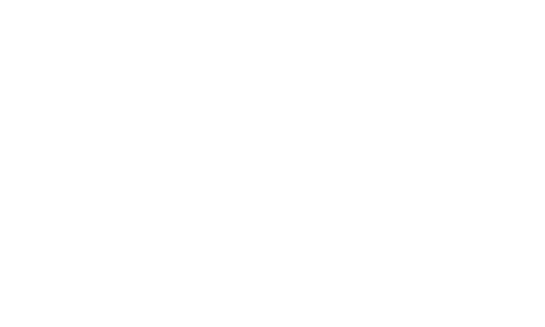 Official Selection Black Art & Film Festival 2024